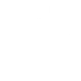 Netzwerk